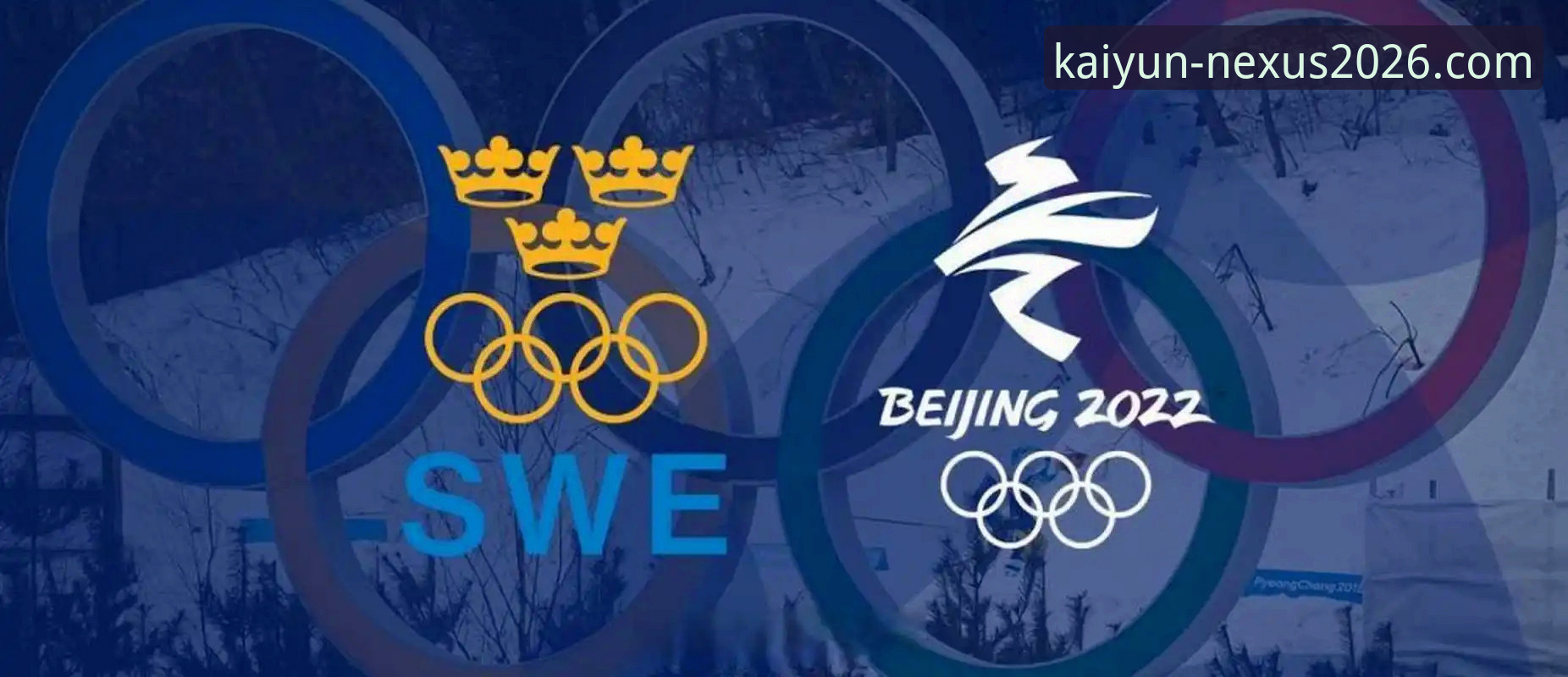 kaiyun全站app登录官网 瑞典中场贝里瓦尔的牺牲与回报:开云体育平台用户如何理解“赢得一切”的真正含义